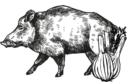 Geïllustreerd zwijn met venkel